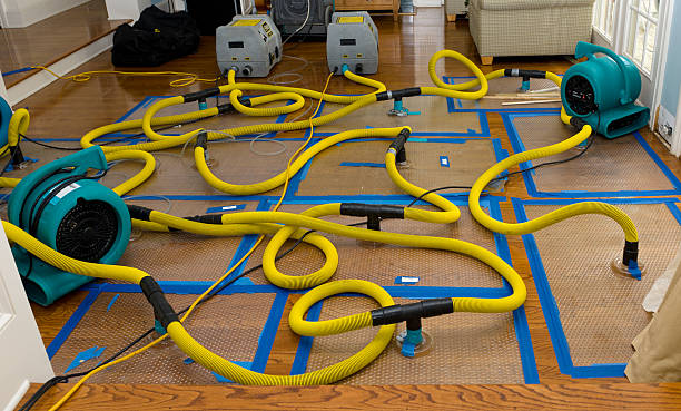 Professional Water Damage Restoration technician working in Frederick, PA